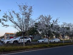 -昆山城市公园