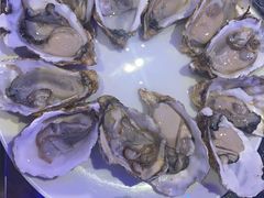 -千岛蚝高压锅生蚝·人参火锅(白云万达店)