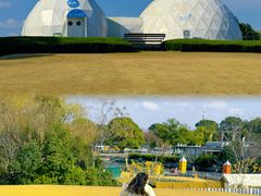 -上海佘山世茂艾美酒店