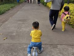 -晓港公园