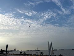-上海滨江森林公园