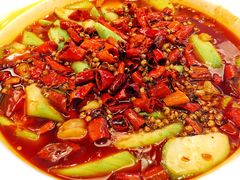 馋嘴蛙-大鸭梨(天通西苑店)