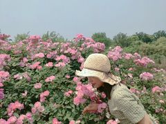 -尚贤河湿地