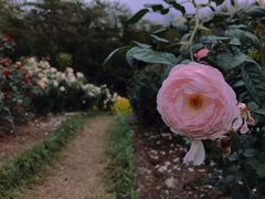 -人民公园(罗湖区)