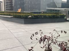 -凤凰湘语(浦东旗舰店)