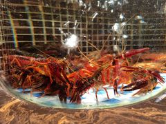 -黄泥岗·地道湖北菜(奥特莱斯店)