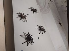 -长江文明馆