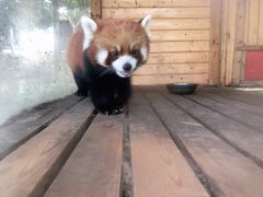 -武汉紫薇都市田园