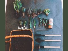 -厝内小眷村(天河南一路店)