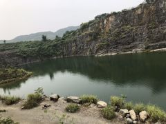 -南山植物园
