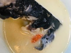 -全乐鱼馆·淳牌有机鱼直营店