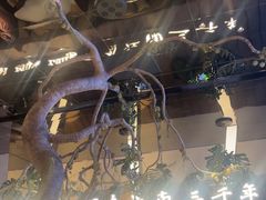 -桂满陇·海市蜃楼·黑金(国金店)