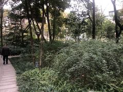 -成都市活水公园