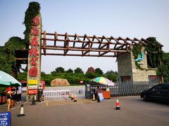 -塘沽森林公园