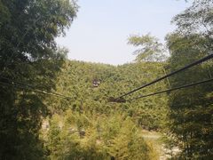 -宁波浙东大竹海景区