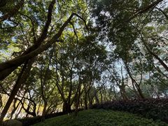 -龙景攀岩(海峡世茂广场店)