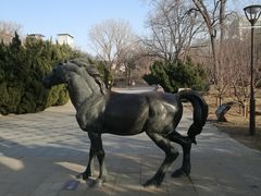 -元大都城垣遗址公园