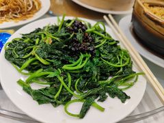 蒜蓉豆豉炒地瓜叶-山泉公馆酒家(广州东站店)