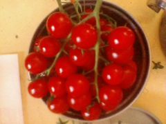 -蓝海西城宾馆四季火锅