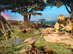 -国家自然博物馆