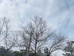 -狼山风景名胜区