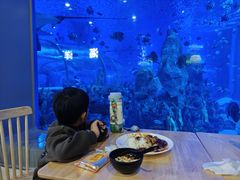 -石家庄极地海洋世界