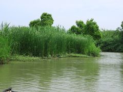-沙家浜风景区