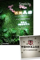 点击看大图 -西施无菌半永久纹绣眉眼影唇轻增发纹发际线