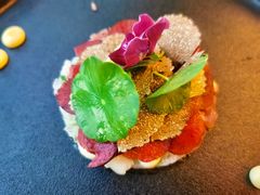 金枪鱼海鳌虾塔塔配刨片黑松露-瑞吉酒店 · Elba 欧尔巴意大利餐厅· 精致意餐·云端聚会