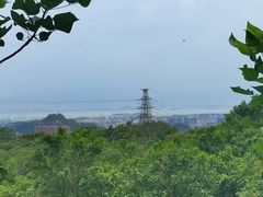 -荔景渔庄