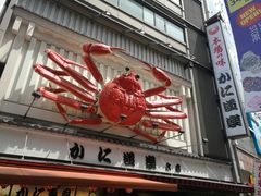 -蟹道乐(道顿堀本店)