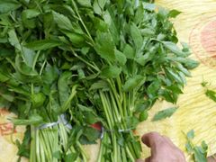 野芹菜-渔老大·有机鱼馆·老字号(古城店)