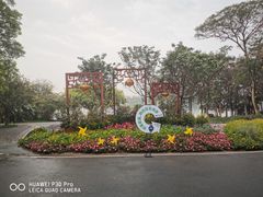 -海珠湖公园