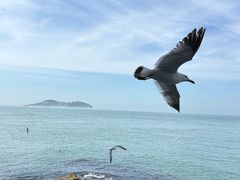 -摩天岭风景区