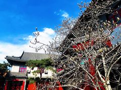 -天津大悲禅院