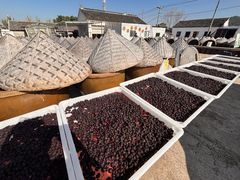 -苏州市吴中区光福窑上花果蜜饯厂