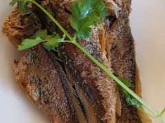 -阿娘家·原生态农家菜(国顺东路店)