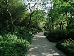 -新江湾城公园