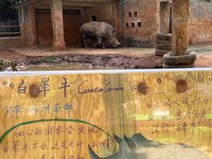 -昆明动物园