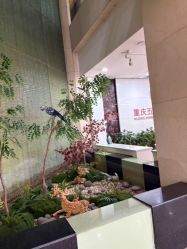 -重庆五洲妇儿医院·妇幼保健