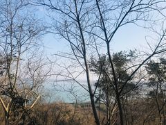 -南京金牛湖风景区