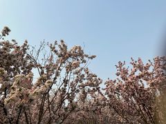 -天津万象城