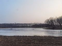 -东郊湿地公园