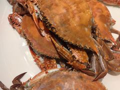 -宋园·金宴浙鲜馆(静安店)