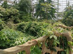 -南山植物园