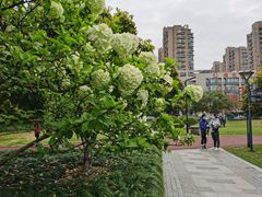 -杭州城北体育公园