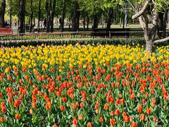 -长春公园(普阳街道)