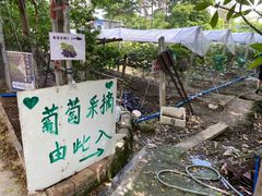 -新塘水果乐园(东洲大道店)