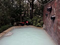 -天目湖涵田半山温泉