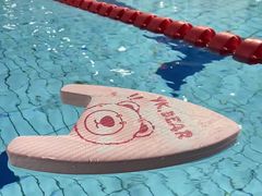 -重庆市奥林匹克体育中心-游泳跳水馆